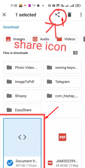 Share button on alight motion setting for import of xml